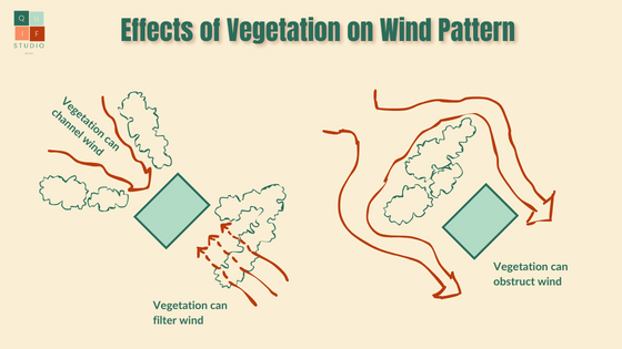 Graphic illustration depicting the influence of surrounding vegetation on wind patterns around buildings. The image visually communicates how various types of plants can impact and modify the flow of wind, highlighting the role of vegetation in shaping local wind dynamics. This illustration is designed for educational purposes to illustrate the interaction between buildings and surrounding greenery in affecting wind patterns.